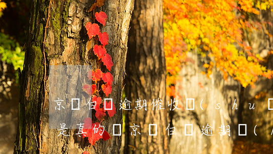 京東白條逾期催收說(shuō)上門家訪是真的嗎（京東白條逾期會(huì)有人上門催債嗎）