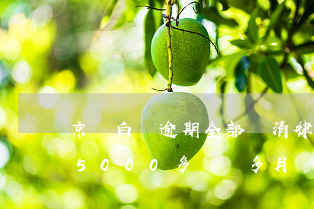 京東白條逾期全部還清律師函(京東白條逾期5000多兩個多月沒還,還發(fā)了律師函給我)