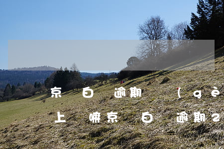 京東白條逾期兩個(gè)月會(huì)上門嘛(京東白條逾期2個(gè)月說要上門是真的嗎?)