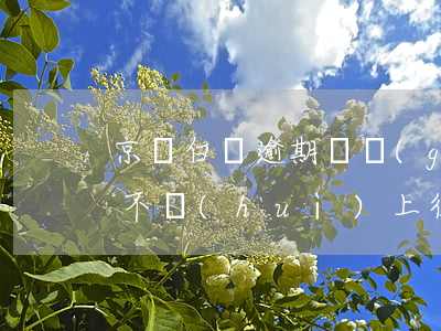 京東白條逾期兩個(gè)月會(huì)不會(huì)上征信-京東白條逾期兩個(gè)月會(huì)不會(huì)上征信記錄