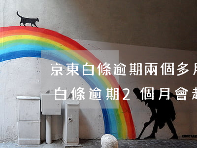 京東白條逾期兩個多月會被法院起訴嗎（京東白條逾期2個月會起訴嗎）