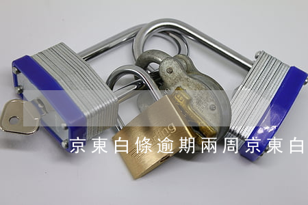 京東白條逾期兩周（京東白條有2條逾期記錄）