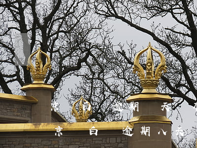 京東白條逾期兩天沒有取現(xiàn)了(京東白條逾期八天還清后多久可以取現(xiàn))