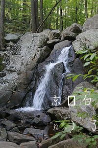 京東白條逾期兩天還完了不讓取現(xiàn)了怎么破（京東白條逾期導(dǎo)致不能取現(xiàn)）