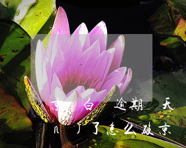 京東白條逾期兩天還完了不讓取現(xiàn)了怎么破（京東白條逾期導致不能取現(xiàn)）