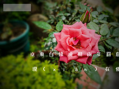 京東白條逾期兩年罰息(京東白條逾期幾年了現(xiàn)在催收說罰息減免)