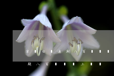 京東白條逾期八百塊錢會上門嗎（京東白條逾期八百塊錢會上門嗎）