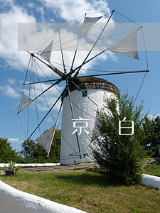 京東白條逾期公積金(京東白條逾期2月)