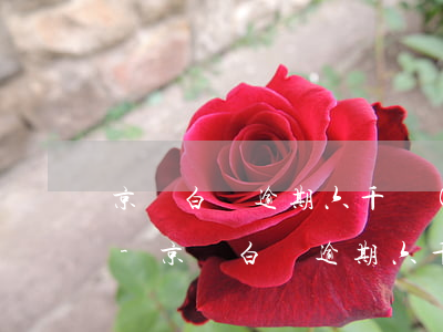 京東白條逾期六千會(huì)有什么后果-京東白條逾期六千會(huì)有什么后果嗎