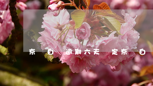 京東白條逾期六天鎖定 京東白條逾期三天