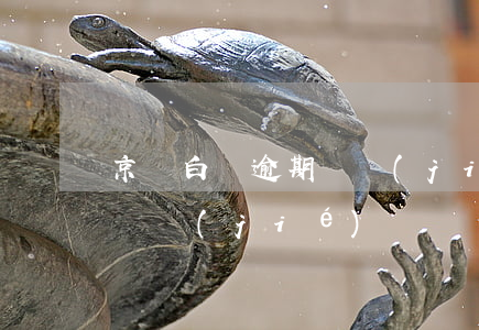 京東白條逾期凍結(jié)了(京東白條 已凍結(jié))
