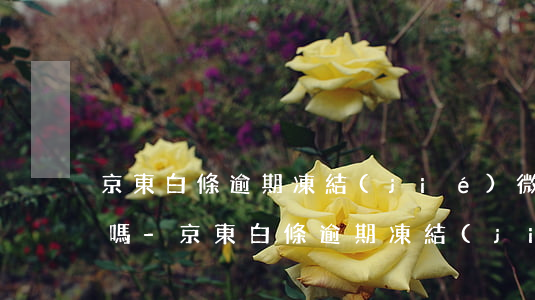 京東白條逾期凍結(jié)微信和支付寶嗎-京東白條逾期凍結(jié)微信和支付寶嗎安全嗎