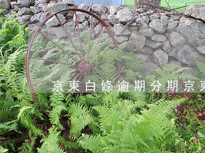 京東白條逾期分期（京東白條逾期分期）