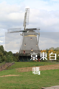 京東白條逾期判決書(京東白條逾期有被告的嗎)