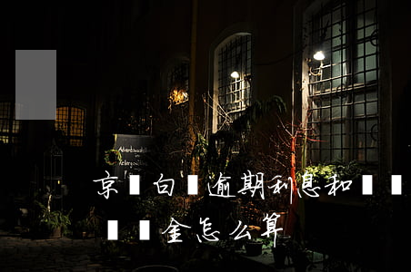 京東白條逾期利息和滯納金怎么算(京東金條滯納金怎么算)