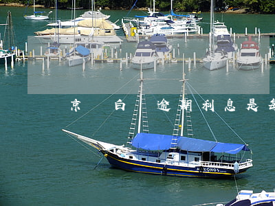 京東白條逾期利息是每天扣嗎
