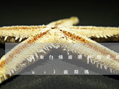 京東白條逾期利息要給嗎-京東白條會(huì)逾期嗎