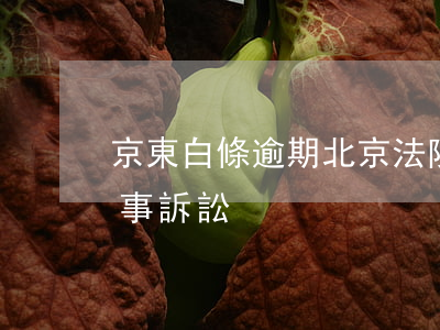 京東白條逾期北京法院(京東白條逾期說要民事訴訟)