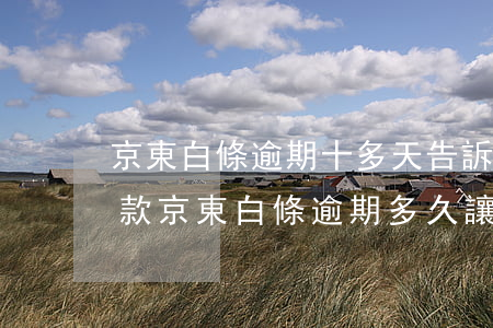 京東白條逾期十多天告訴如果不還就得還全款（京東白條逾期多久讓還全款）