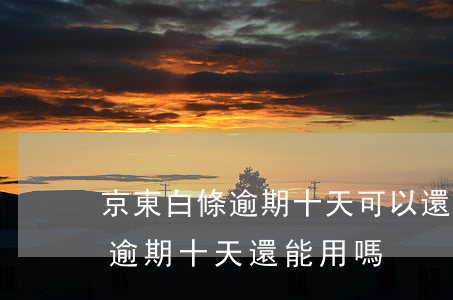 京東白條逾期十天可以還可以嗎-京東白條逾期十天還能用嗎