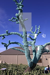 京東白條逾期十天會(huì)上征信(京東白條逾期十天會(huì)上征信)