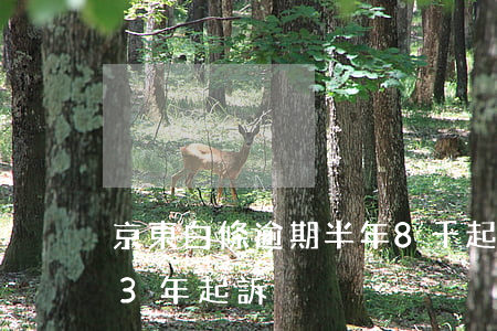 京東白條逾期半年8千起訴-京東白條逾期3年起訴