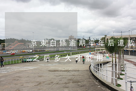 京東白條逾期半年后還款(京東白條逾期還完之后多久才能用)