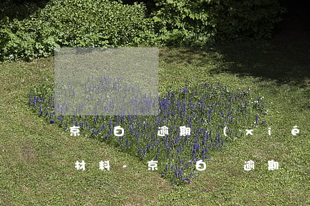 京東白條逾期協(xié)商還款需要什么材料-京東白條逾期協(xié)商還款需要什么材料呢