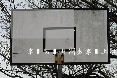 京東白條逾期去京東上班