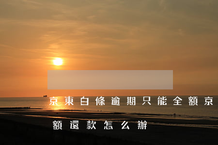 京東白條逾期只能全額(京東白條逾期要求全額還款怎么辦)
