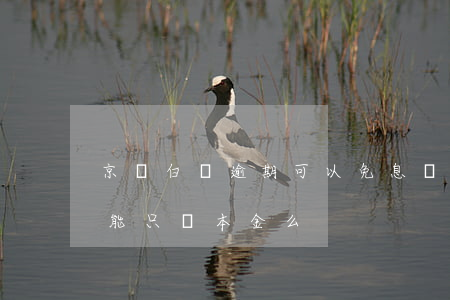 京東白條逾期可以免息還款嗎(京東白條逾期能只還本金么?)