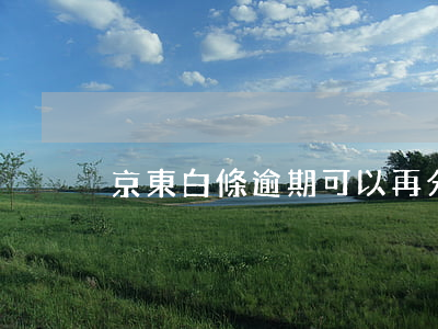 京東白條逾期可以再分期付款嗎-