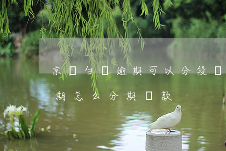 京東白條逾期可以分段還款嗎-京東白條逾期怎么分期還款