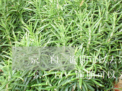 京東白條逾期可以去京東做物流配送員嗎-京東白條逾期可以去京東做物流配送員嗎