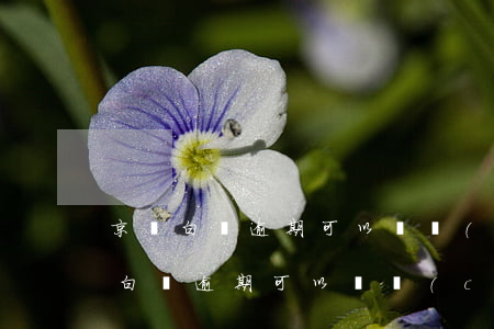 京東白條逾期可以辦車(chē)貸嗎(京東白條逾期可以辦車(chē)貸嗎?)