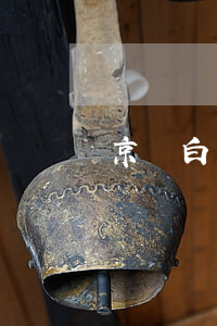 京東白條逾期后分期(京東白條分期逾期了)