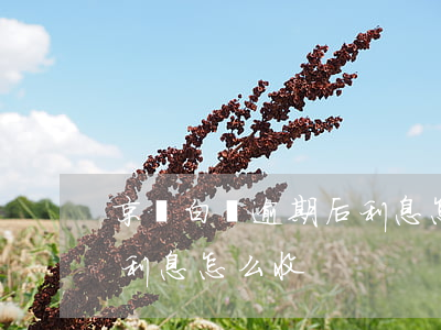 京東白條逾期后利息怎么算-京東白條逾期利息怎么收