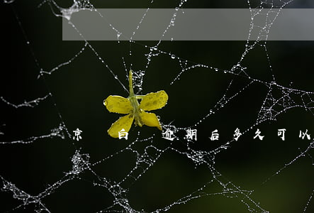 京東白條逾期后多久可以再借