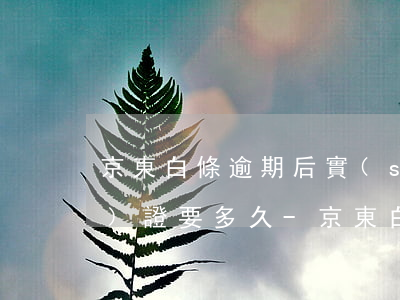 京東白條逾期后實(shí)名認(rèn)證要多久-京東白條逾期還款后多久可以再次開(kāi)通