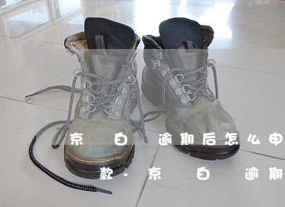 京東白條逾期后怎么申請(qǐng)最低還款-京東白條逾期后怎么申請(qǐng)最低還款額