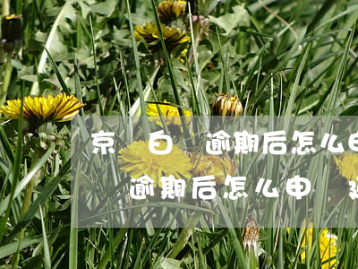 京東白條逾期后怎么申請延期還款-京東白條逾期后怎么申請延期還款呢