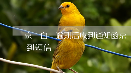 京東白條逾期后收到通知函(京東白條逾期收到短信)