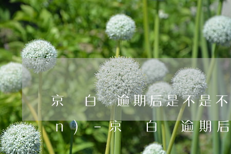 京東白條逾期后是不是不能再提現(xiàn)-京東白條逾期后是不是不能再提現(xiàn)了