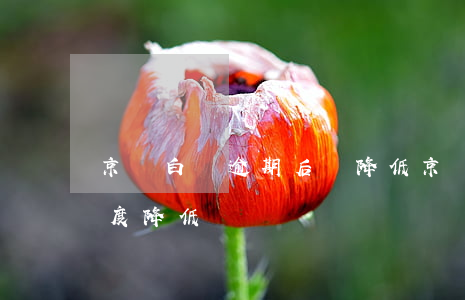 京東白條逾期后會降低(京東白條逾期兩天額度降低)