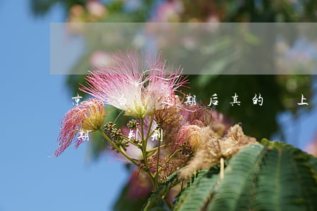 京東白條逾期后真的會上法院嗎（京東白條逾期會判刑嗎）