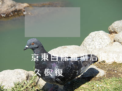 京東白條逾期后還款(京東白條逾期后還款多久恢復)