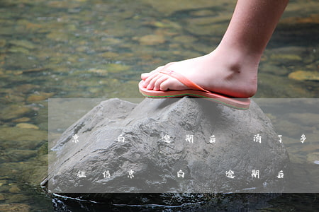 京東白條逾期后還清了多久能恢復(fù)征信（京東白條逾期后還清了）