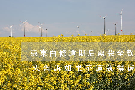 京東白條逾期后需要全款(京東白條逾期十多天告訴如果不還就得還全款)
