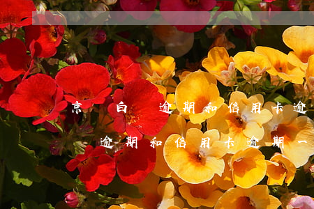 京東白條逾期和信用卡逾期一樣嗎-京東白條逾期和信用卡逾期一樣嗎怎么辦