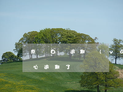 京東白條逾期嚴(yán)重 京東白條不小心逾期了